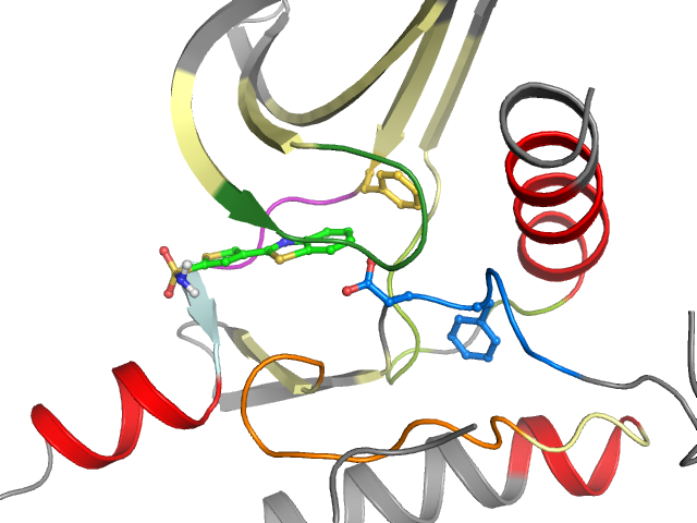 The orthosteric binding pocket