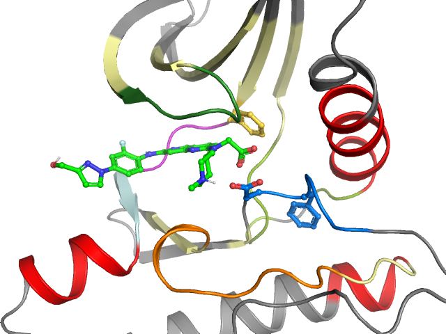 The orthosteric binding pocket
