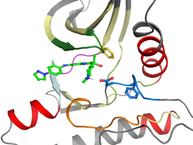 The orthosteric binding pocket