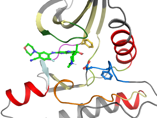 The orthosteric binding pocket