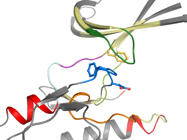 The orthosteric binding pocket