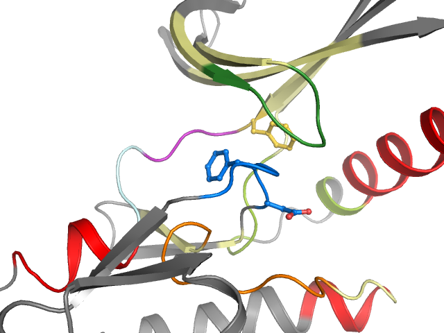 The orthosteric binding pocket