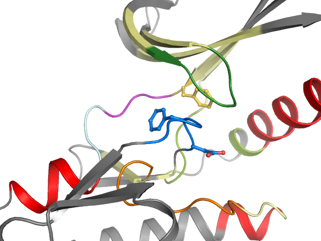 The orthosteric binding pocket