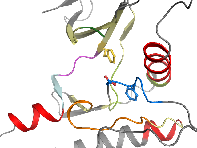 The orthosteric binding pocket