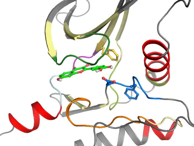 The orthosteric binding pocket