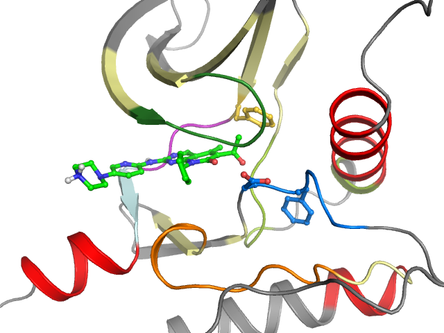 The orthosteric binding pocket