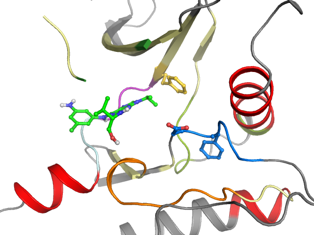 The orthosteric binding pocket