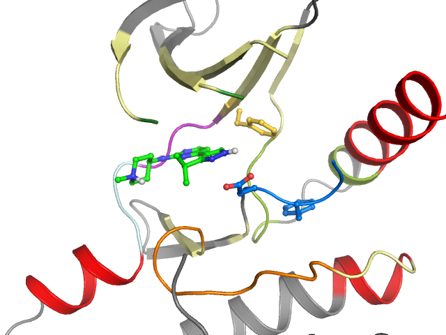 The orthosteric binding pocket