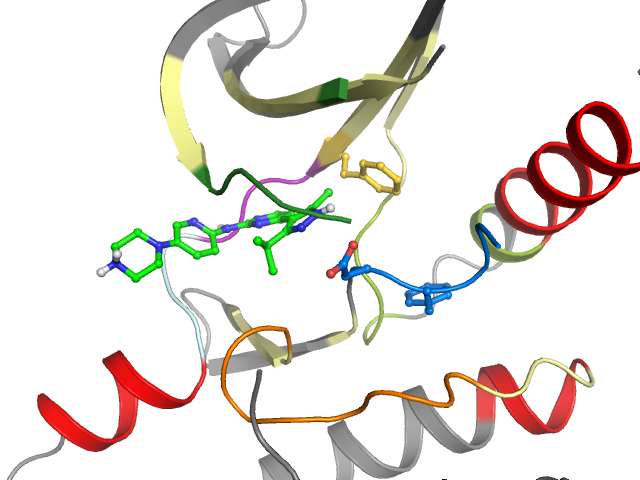 The orthosteric binding pocket