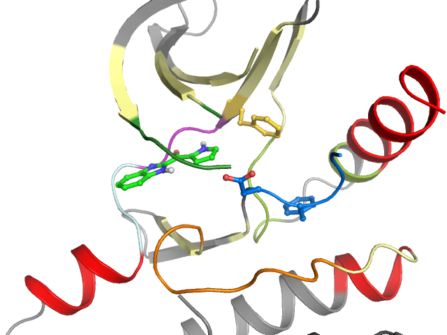 The orthosteric binding pocket