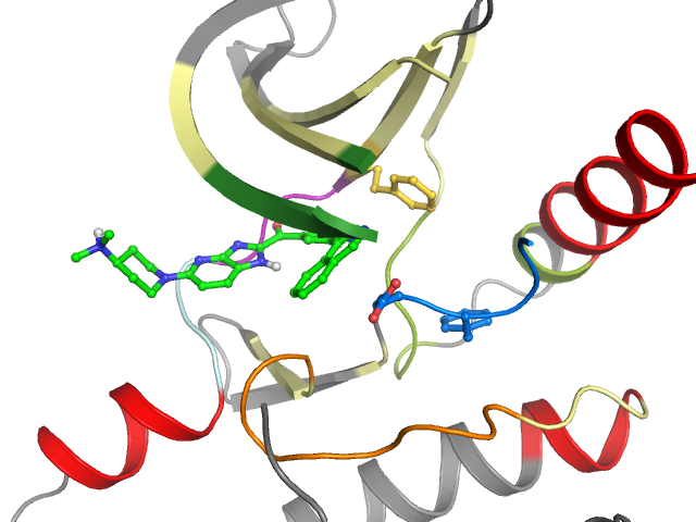 The orthosteric binding pocket