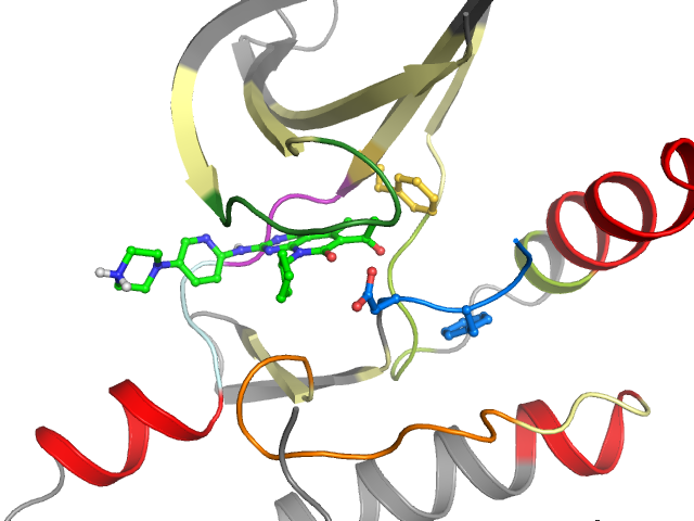 The orthosteric binding pocket