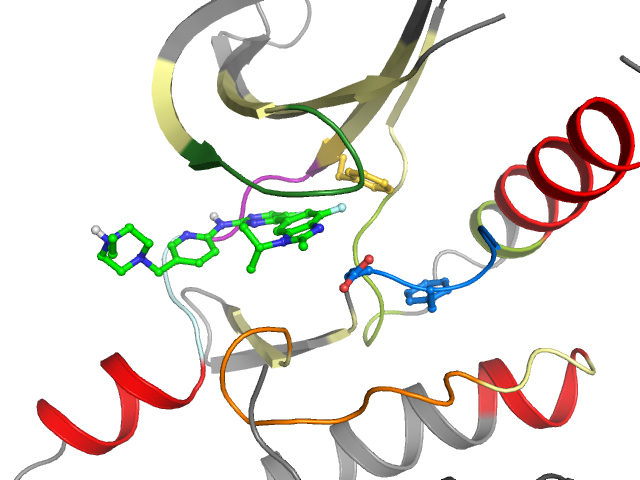 The orthosteric binding pocket