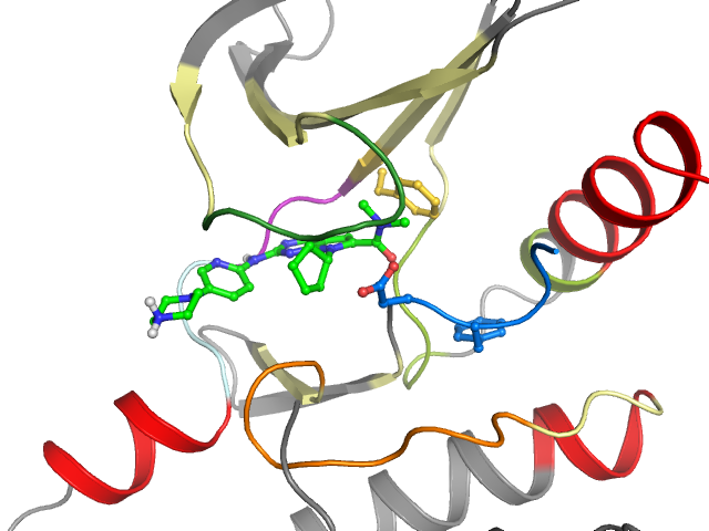 The orthosteric binding pocket