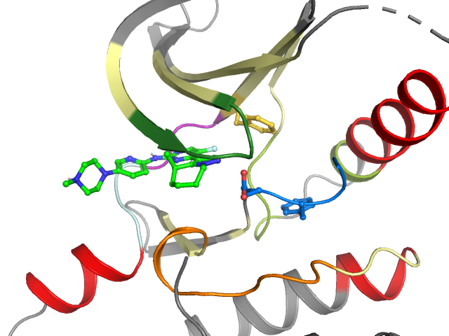 The orthosteric binding pocket