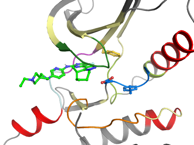 The orthosteric binding pocket