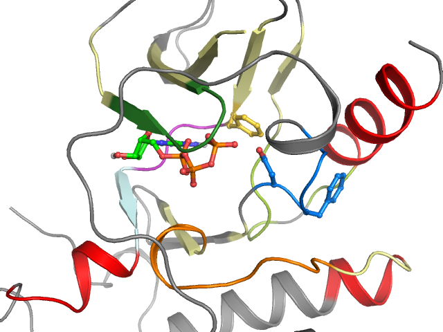 The orthosteric binding pocket
