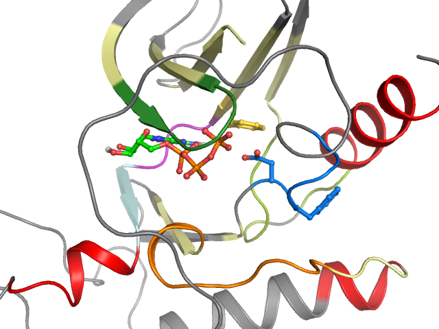 The orthosteric binding pocket