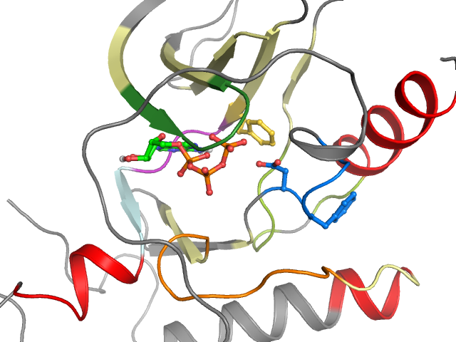 The orthosteric binding pocket