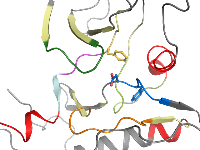 The orthosteric binding pocket