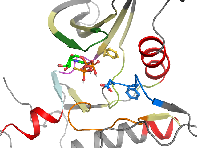 The orthosteric binding pocket