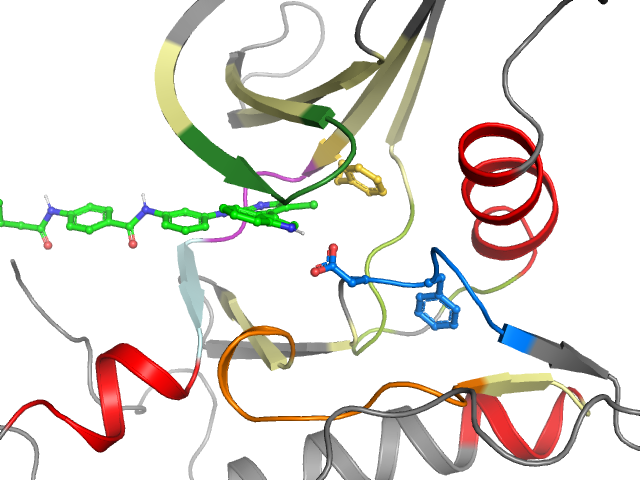 The orthosteric binding pocket