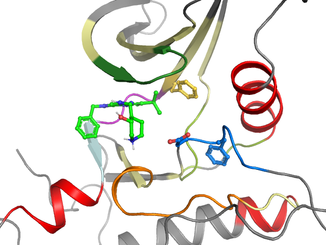 The orthosteric binding pocket