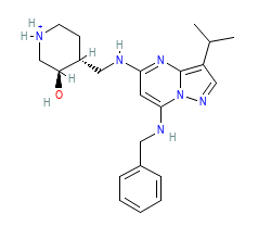 2D structure of the orthosteric ligand