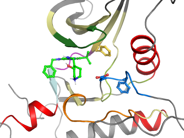 The orthosteric binding pocket