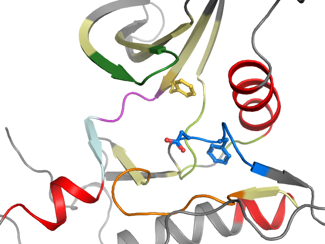 The orthosteric binding pocket