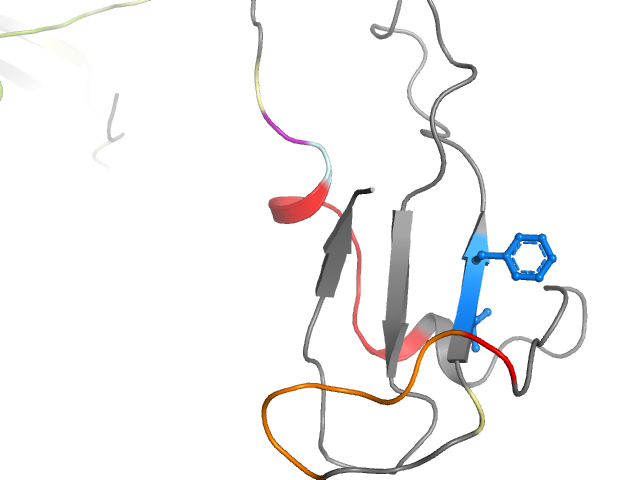 The orthosteric binding pocket