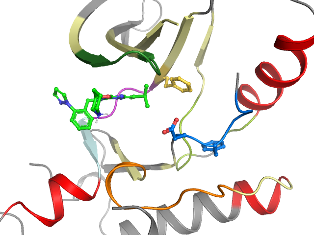 The orthosteric binding pocket