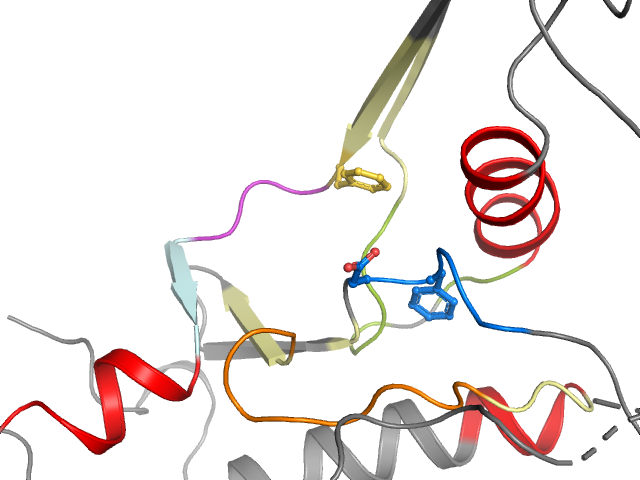 The orthosteric binding pocket