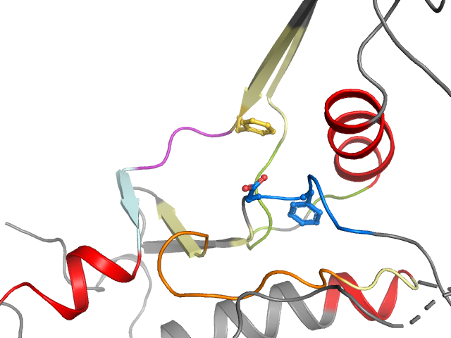 The orthosteric binding pocket