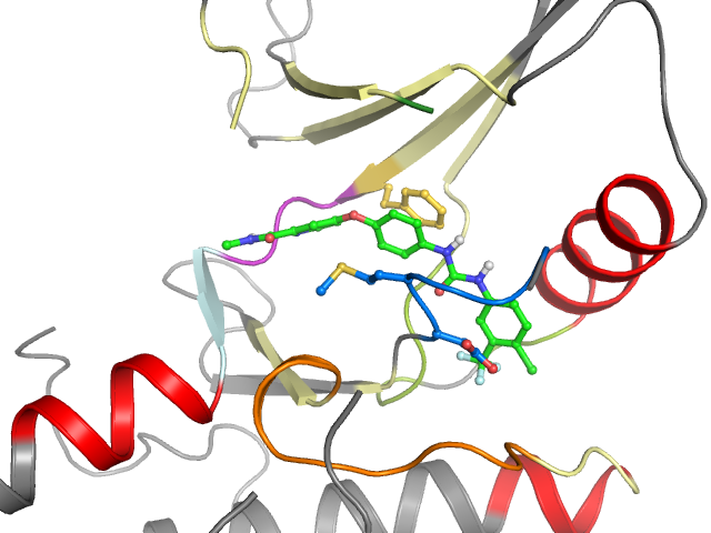 The orthosteric binding pocket