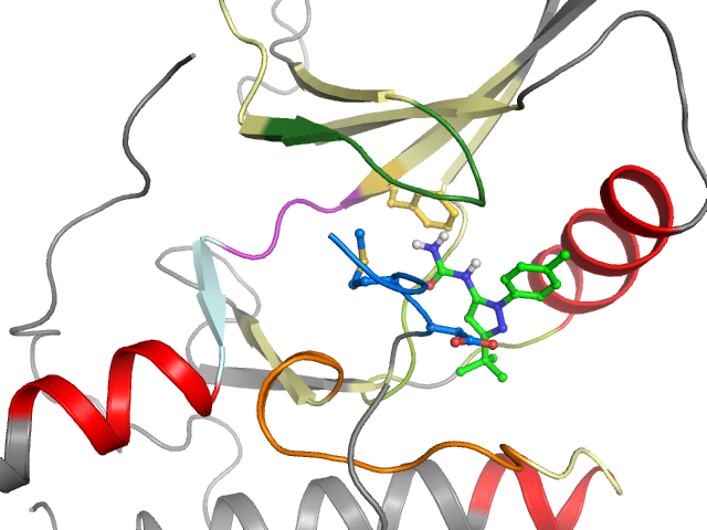 The orthosteric binding pocket