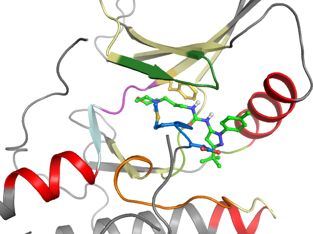The orthosteric binding pocket