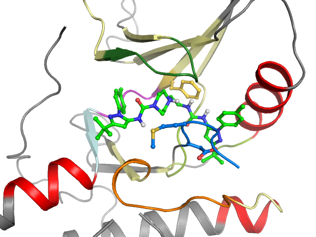 The orthosteric binding pocket