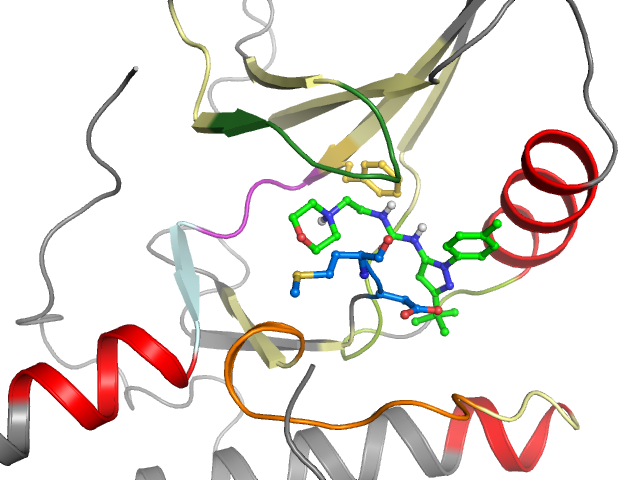 The orthosteric binding pocket