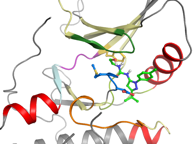 The orthosteric binding pocket