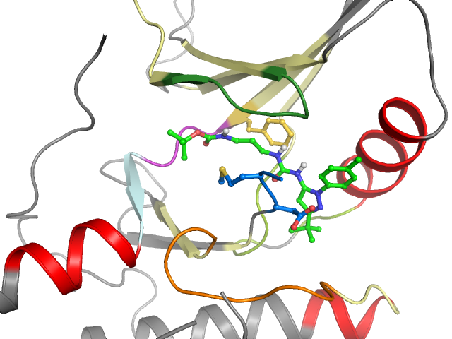 The orthosteric binding pocket