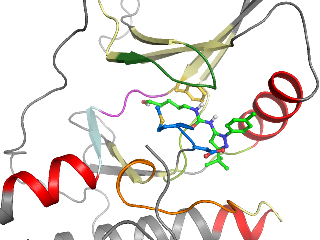 The orthosteric binding pocket