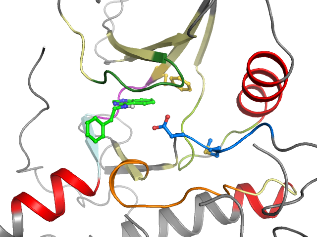 The orthosteric binding pocket