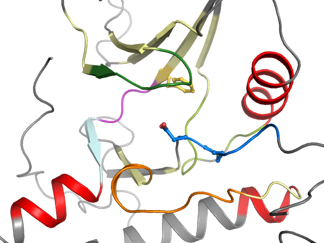 The orthosteric binding pocket