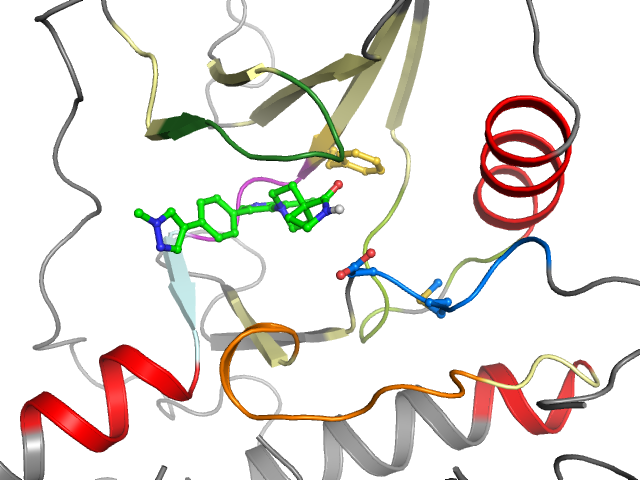 The orthosteric binding pocket