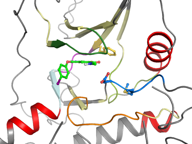 The orthosteric binding pocket