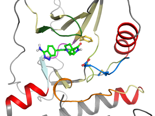 The orthosteric binding pocket