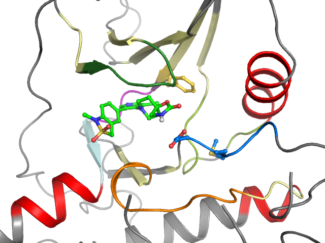 The orthosteric binding pocket