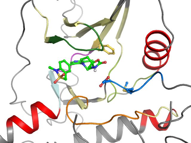 The orthosteric binding pocket