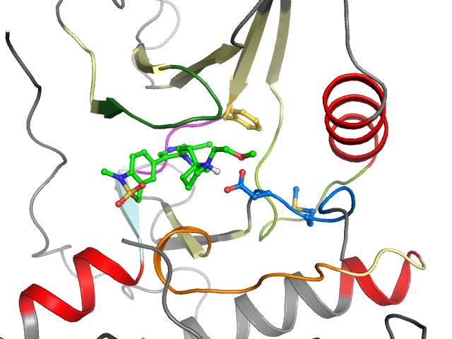 The orthosteric binding pocket